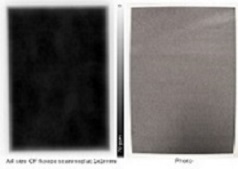 EC-Scan Mapping Uniformity